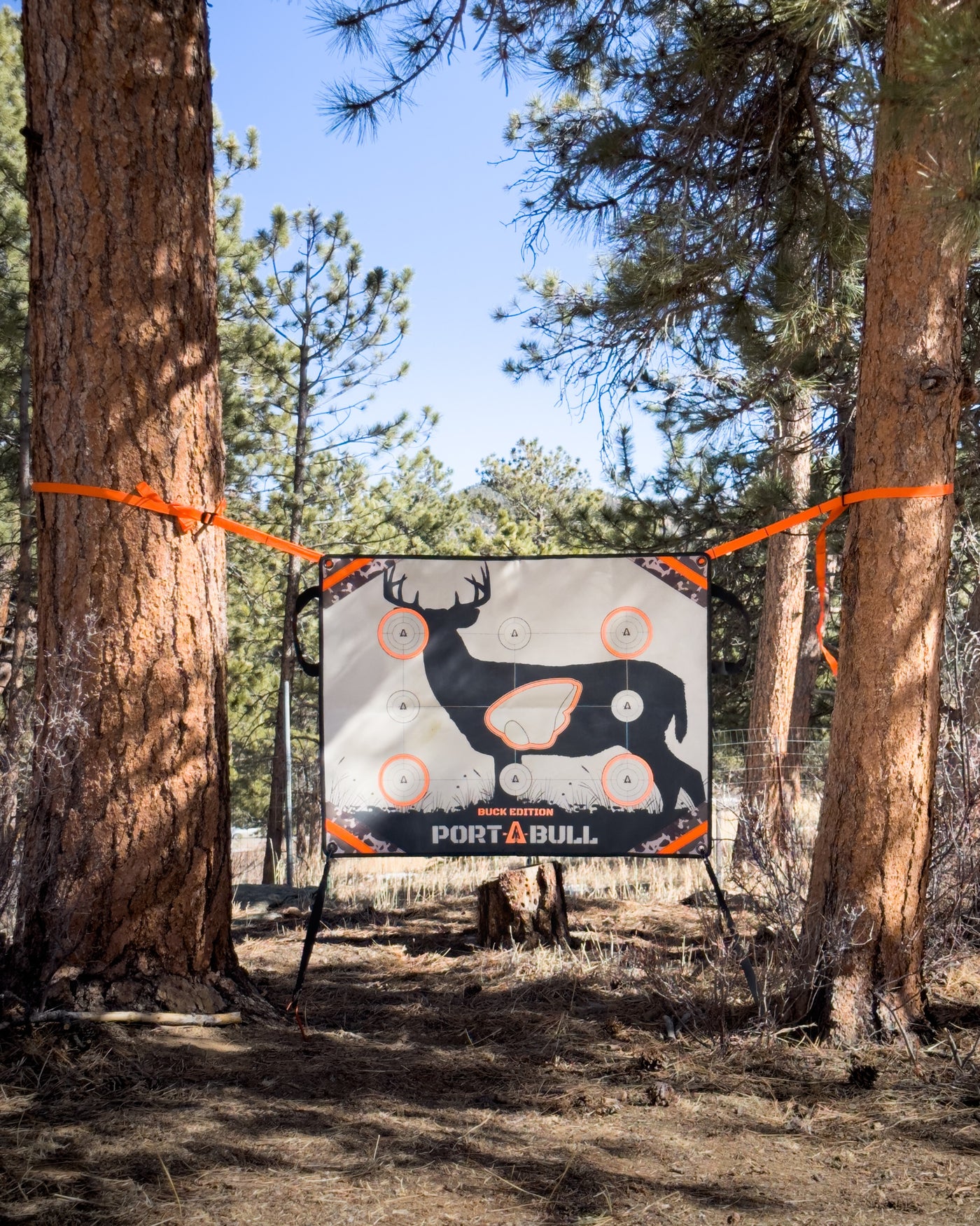 Port-A-Bull Archery Target (Elk or Deer)